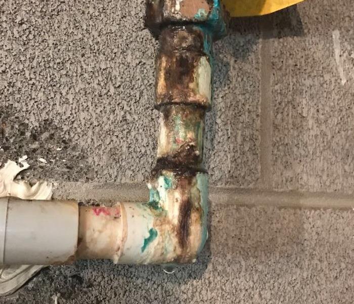mold growth on water pipe in basement