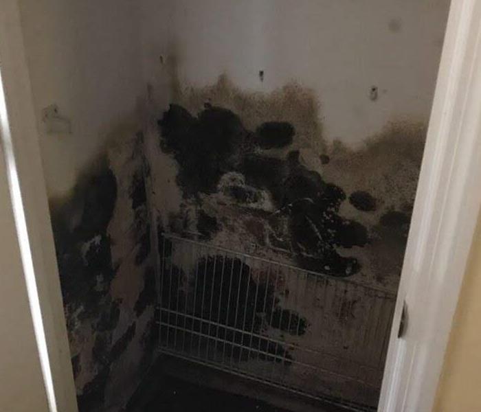 mold on wall in small closet 